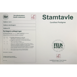 Stamtavle, 0-4 mneder